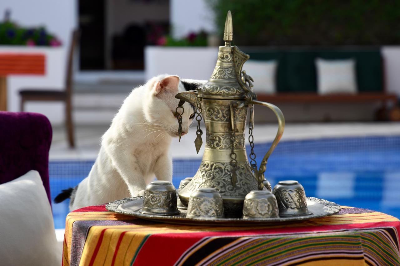 Behlys Boutique Hotel Muskat Bagian luar foto